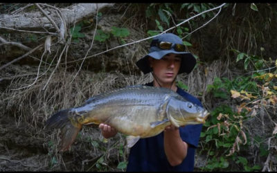 Le poisson borgne