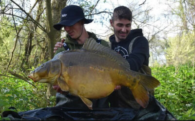 Superbe miroir de rivière de 25 kg